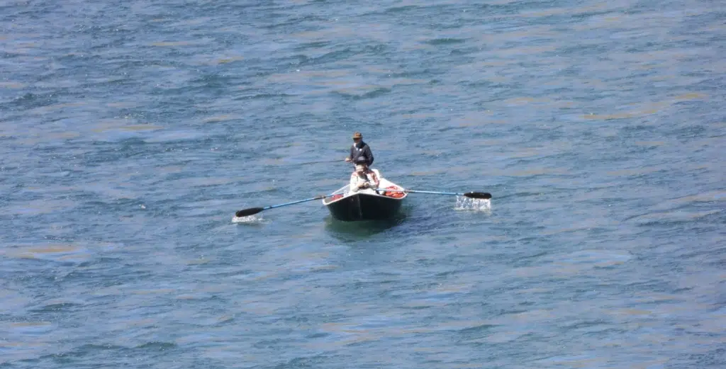 Fishing Guide, Outfitter in Bariloche, Patagonia, Argentina. Limay River Manso River. Brown Trout, Rainbow trout. Fishing Lodge.